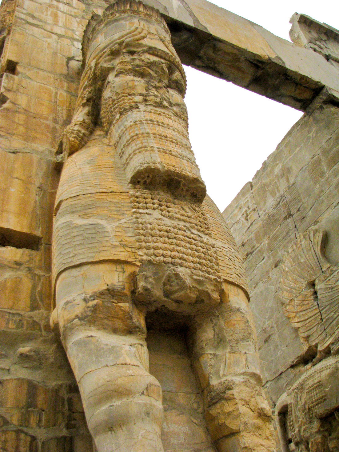 File:Persepolis (Takht-e-Jamshid).jpg